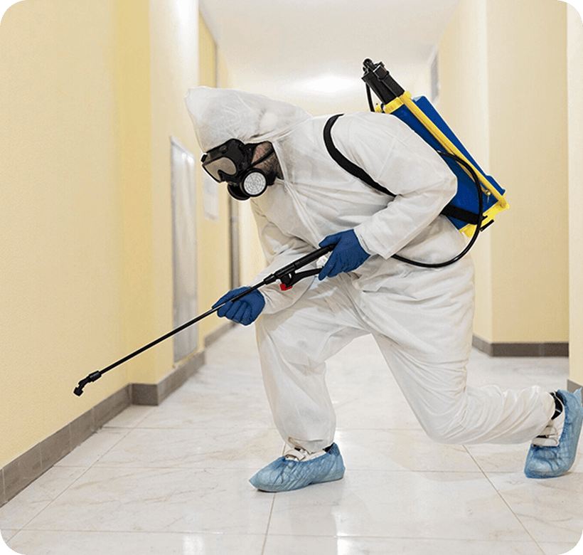 Pest Infestation Control